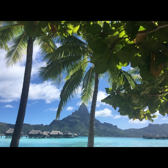 Michael Kors White Bandeau Bikini In XS, S & M - Picture 8 of 8